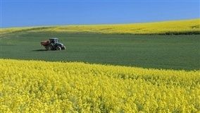 CNA defende que Congresso derrube vetos que impactam o agro