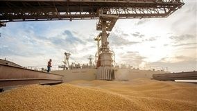 Prêmios em baixa para o milho exportação