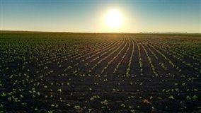 Por que a agricultura brasileira é um exemplo para o mundo?