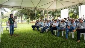 Pecuária ganha destaque em Mato Grosso como alternativa à instabilidade dos preços dos grãos