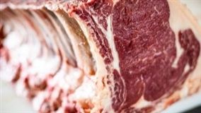 Exportações de carne bovina brasileira atingem recorde, apesar de desafios de mercado em 2024