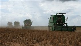 Chuvas impactam colheita de soja pelo Brasil