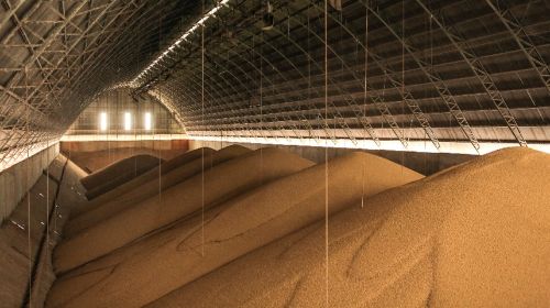 Esmagamento de soja em Mato Grosso bate recorde