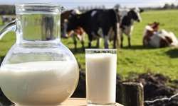 Preço do leite em alta no Mato Grosso