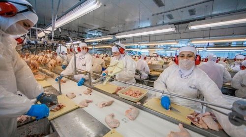 Malásia abre suas portas para carne de frango halal do Brasil