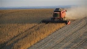 276 anos: Estado de MT se tornará polo da agroindustrialização em décadas, afirma historiador
