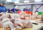 Embarques de carne de frango do Brasil crescem 5,3% em fevereiro/26, informa ABPA