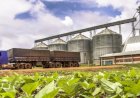Aliança Agrícola tem recuperação judicial aprovada pela Justiça