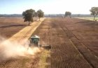 Negócio envolvendo um dos maiores confinamentos do Brasil marca venda da Fazenda Conforto