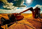Crédito cresce mais de 20% no Tocantins e impulsiona negócios em todo o estado