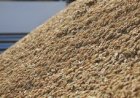 Pepro do arroz vende 103 mil toneladas em leilão