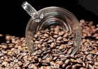 SRB e Embrapa discutem novo ciclo na cafeicultura