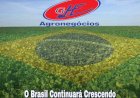 Endividamento crescente ameaça agro paranaense