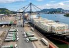 Mesmo aprovado, antidumping sobre leite em pó importado é adiado