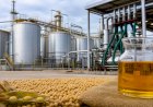 ANP atualiza regra para uso voluntário de biodiesel