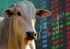 VBP do agro chega a R$ 1,39 trilhão em julho; carne bovina movimenta R$ 246,5 bi