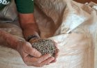 Operação apreende 217 toneladas de fertilizantes adulterados em MT