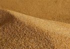 Anec eleva projeções de embarques de soja e milho do Brasil em outubro