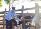 Fábrica de R$ 60 mi e 500 mil litros/dia: os planos da Alvoar Lácteos para a bacia leiteira de AL