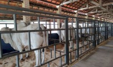 Pró-Genética Online será destaque na 2ª Expogenética MS