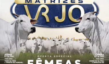 4º LEILÃO VIRTUAL MATRIZES VRJO