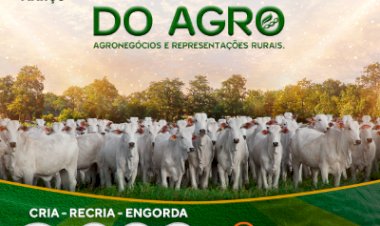 LEILÃO VIRTUAL BR DO AGRO