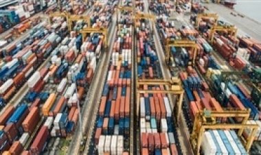 Primeiras cargas de DDGS chegam à China e Brasil envia farinha de vísceras de aves ao país asiático