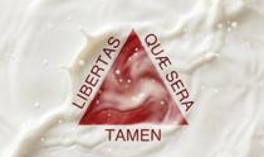MG: projeto que limita uso de leite em pó importado para leite fluido avança