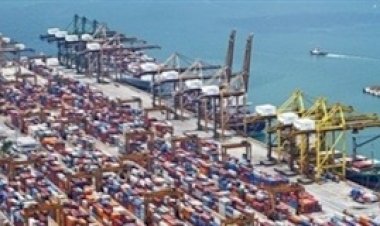 Indonésia vira segundo maior destino dos miúdos bovinos brasileiros