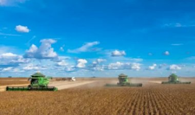 Brasil conclui colheita da soja e encerra safra em todas as regiões produtoras