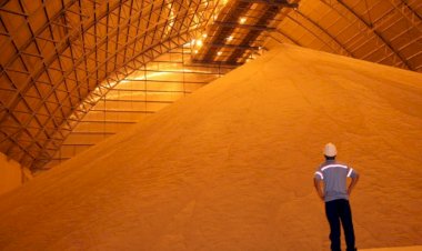 BNDES aprova R$ 42,8 milhões para ampliar armazenagem da Coasul no Paraná