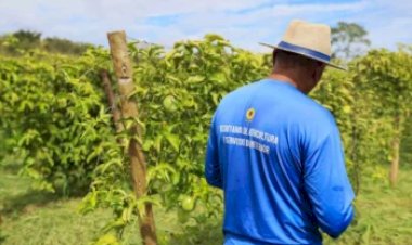 Após sequência de recordes, agro perde 267 mil trabalhadores no Brasil no início de 2026