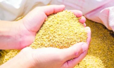 Conab seleciona empresas para venda de farelo de soja destinado à alimentação animal