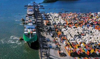 Terminal de Contêineres de Paranaguá: embarque de carnes e congelados atinge novo recorde