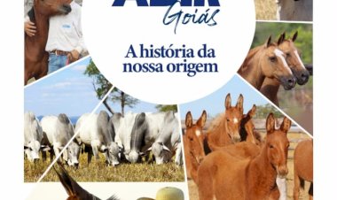 Leilão Adir Goiás