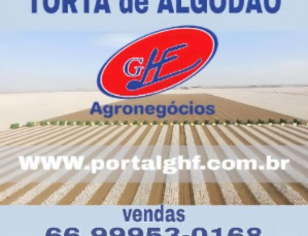 Torta de algodão potencializa o lucro e melhora os resultados para a recria e engorda