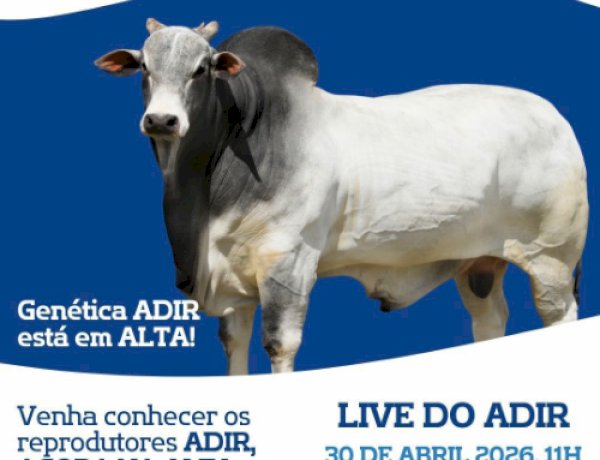 A Genética ADIR está em ALTA e agora você poderá participar de uma LIVE EXCLUSIVA DE VENDA DE SÊMEN dos nossos reprodutores!