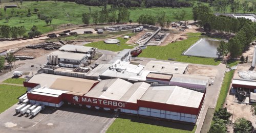 Masterboi investe R$ 60 milhões em túnel de congelamento