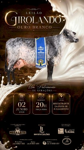 Leilão Girolando Ouro Branco