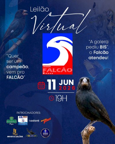 Leilão Virtual Falcão