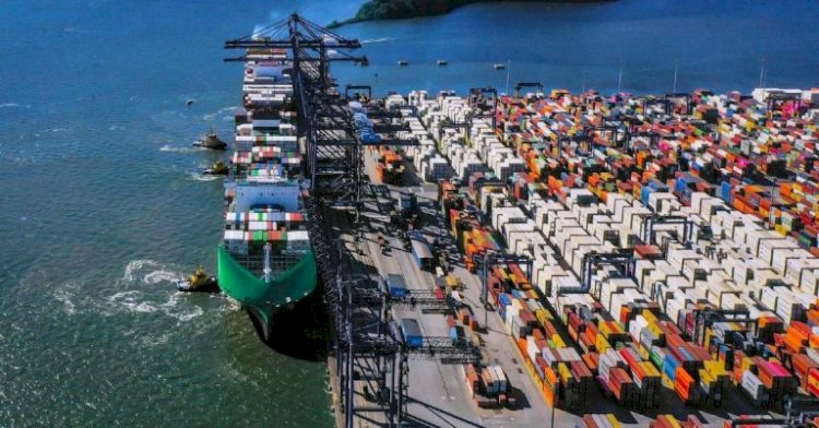 Terminal de Contêineres de Paranaguá: embarque de carnes e congelados atinge novo recorde