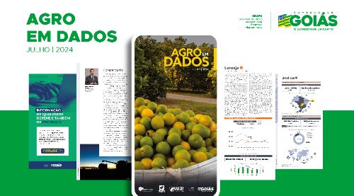 Agro em Dados: nova edição traz informações sobre a produção de laranja em Goiás