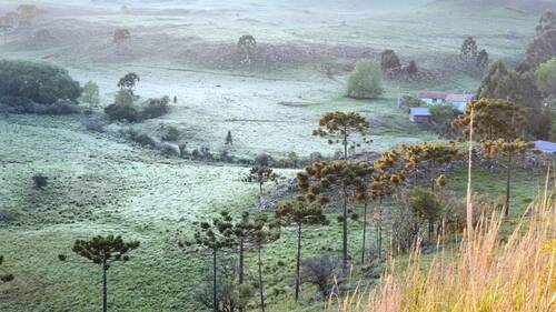 Primeira geada de dezembro é registrada na Serra Catarinense