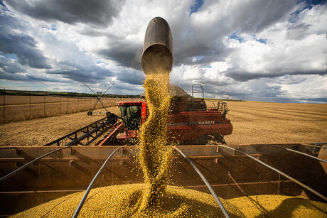 Governo de MT suspense lista de preços mínimos para produtos agrícolas