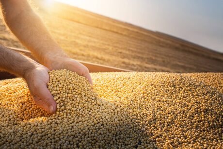 Entenda como uma lei do Congresso dos EUA pode impactar o agro brasileiro