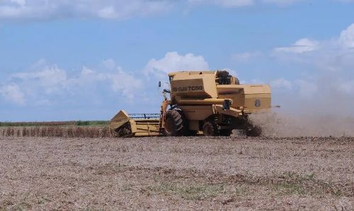 Mais de 2 mil municípios têm alta do emprego no agro em janeiro