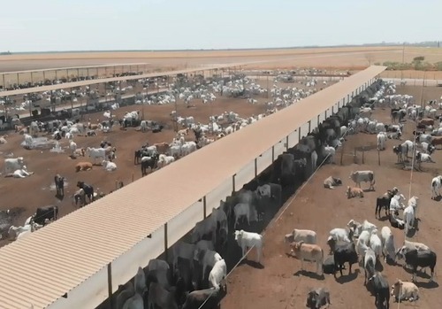 Pecuarista deve proteger o rebanho com a chegada do inverno