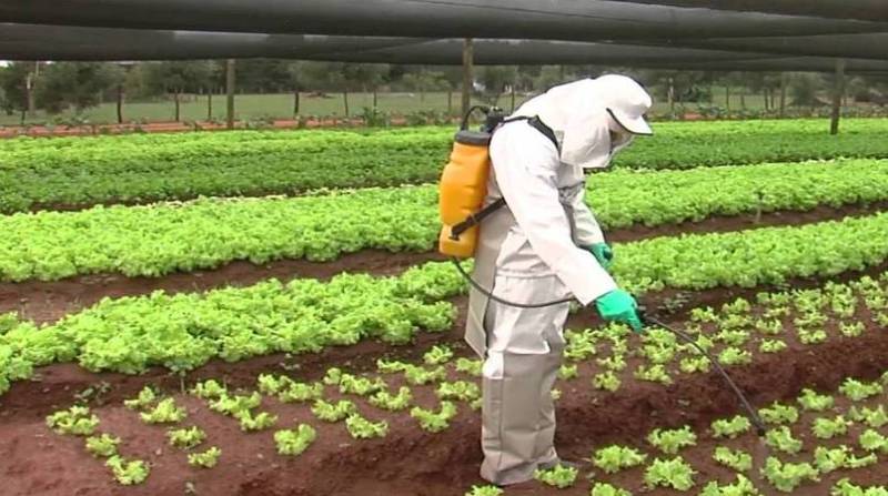 Mapa registra 67 defensivos agrícolas genéricos, incluindo biológicos