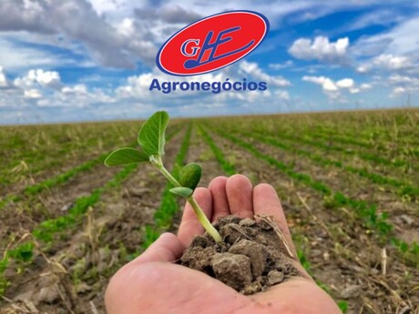 Abertura Nacional do Plantio de Soja exalta produtor e sustentabilidade do grão