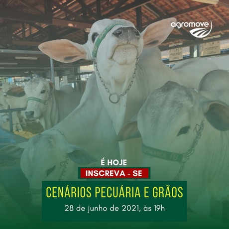 Cenários pecuária e grãos Agromove Premium